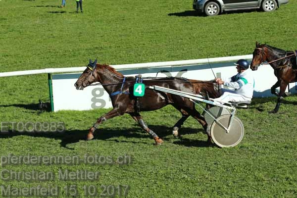 ET0Q0985 prot